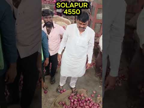 SOLAPUR KANDA MARKET RATE