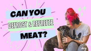 Can You Defrost & Refreeze Meat?