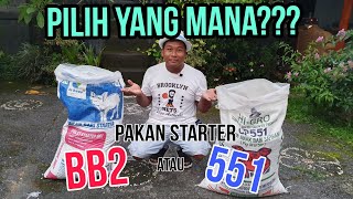Pakan STARTER MANA Yang Terbaik 551 atau BB2 ? Peternakan Babi Di Bali