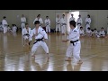 Shorinji kempo japan cool fighters