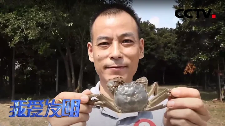 如何钓螃蟹？钓蟹神器给你从未有过的体验 | CCTV“我爱发明”20201125 - 天天要闻