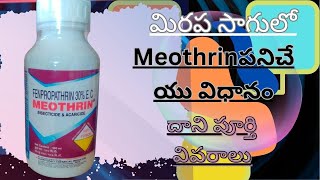 meothrin insecticide uses in mirchi|fenpropathrin  // meothrin insecticide full details |sumitomo