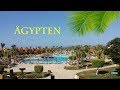 Hotel Magic Tulip Beach Resort 💖 Marsa Alam & Sataya - Ägypten 🌴 Noah van Kai / pr