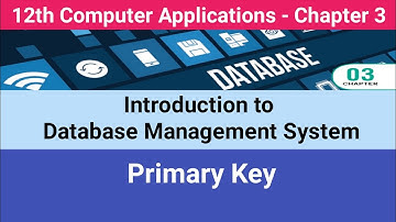 12th Computer Applications || Introduction to DBMS || Primary Key #CMWay