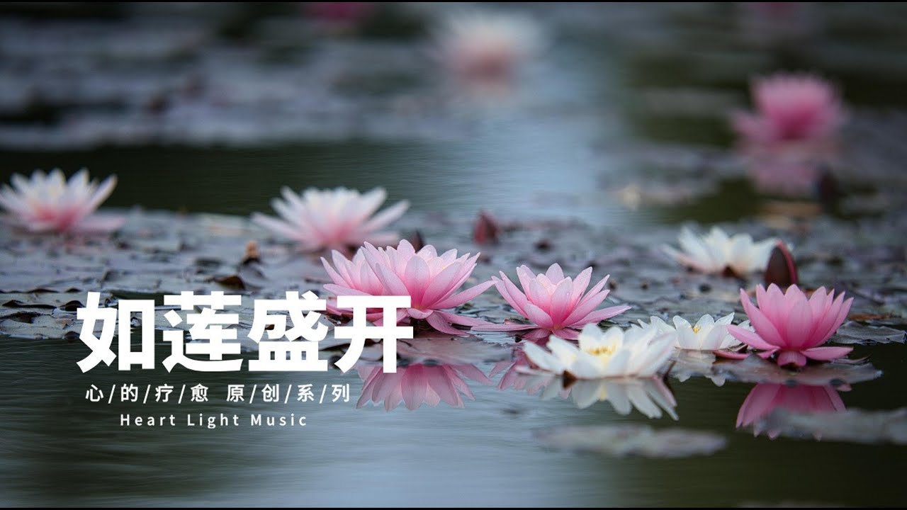 心的疗愈系列- 原创歌曲《如莲盛开》舒缓、静心、疗愈的温柔旋律。