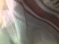 منصور الزهراني اول الفرقان 1431 4