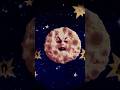 Smashing Pumkins Tonite Tonite isolated vocal #smashingpumpkins #rockmusic #vocal