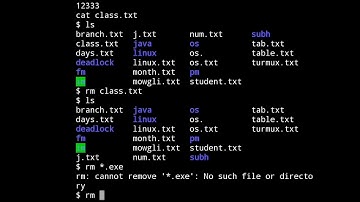 Linux filters commands practical cat head tail cp rm mv sed grep sort cut commands