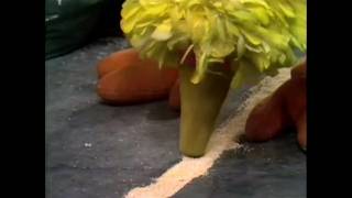 Classic Sesame Street - Episode 0470 Ending (Credits)