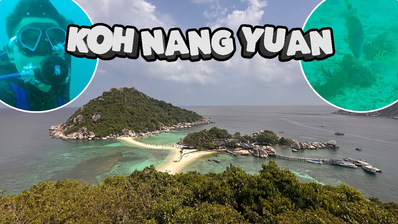 Beautiful Marine Life of Koh Nang Yuan & Koh Tao | Scuba Diving with Pufferfish | Travel Vlog