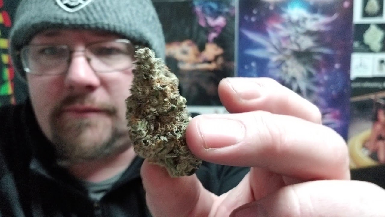 Golden pineapple  Strain review