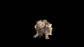 Spore Creature Creator Video Contest - Dancing Dwarf