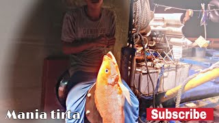 Wow dapat KAKAP MERAH / IKAN LASAK , pulau Masalima SULSEL | pancing dasaran