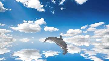 Activity 7 Fractal Noise Displacement Map_Mangulabnan