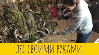 Панно из мха своими руками. DIY. ЦЕЛЫЙ ЛЕС У ВАС ДОМА!!