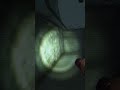 Don't go down the tunnels... #analoghorror #jurassicworld #dinosaurs #scary