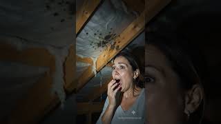 This Small Roof Problem Became a Nightmare #roofinginnovation #roofrepair #roof #roofer #roofing