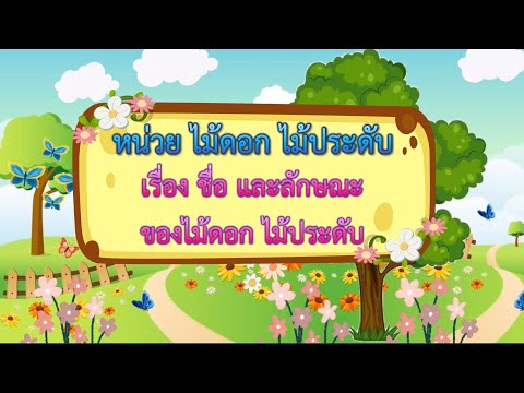 เสริมประสบการณ์ หน่วยไม้ดอก ไม้ประดับ (ชื่อ และลักษณะของไม้ดอก ไม้ประดับ) ep.1/5