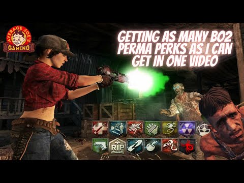 Perma Perks from BO2 Zombies