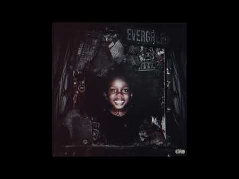 Polo G AI - Evergreen Short Album