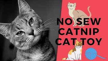 DIY Easy No Sew Catnip Cat Toy. Let