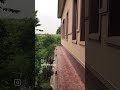 s.muzik
