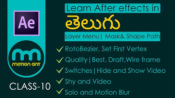 How to use the Layer menu in after effects. switches, shy, solo, blur, hide, show video, wireframe