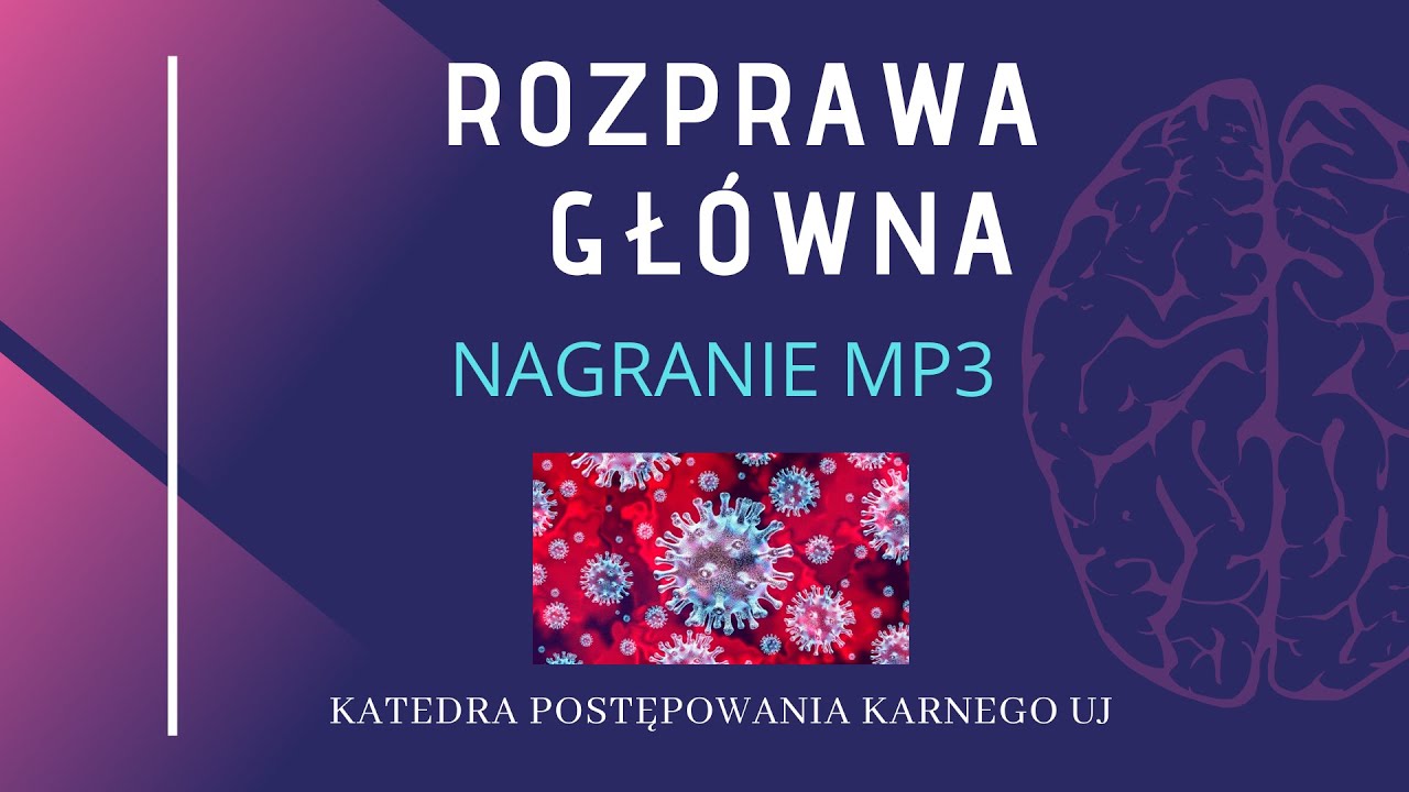 Dział VIII  Rozprawa główna zdaniem Pawellasa