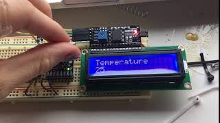 INFO 4320 temp