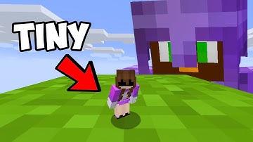 I Killed A Stacked Player While TINY, To Get Revenge