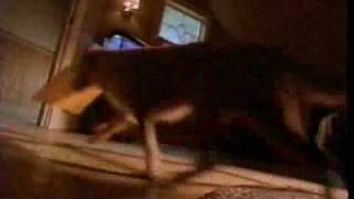 1994 Mead Five-Star Notebooks Commercial