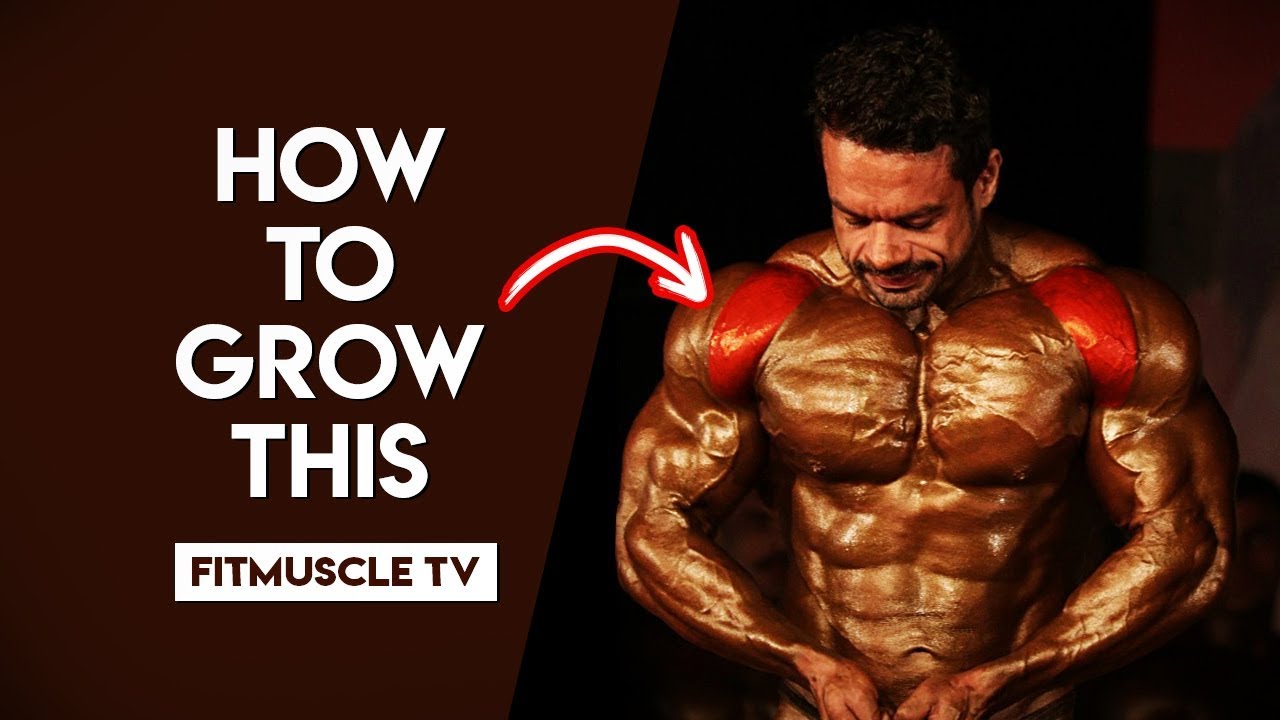 5 Quick Tips For Muscular Shoulders | FitMuscle TV - YouTube