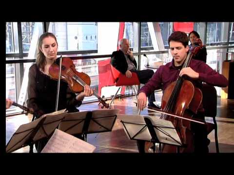 Navarra String Quartet - Pēteris Vasks/from: Stringquartet nr. 3, deel 3 Adagio