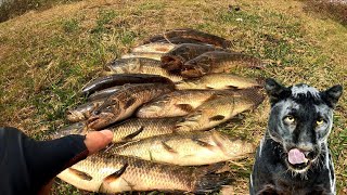CLIMA TENSO MAIS MESMO ASSIM PEGUEI MUITO PEIXE,pescaria de traira....