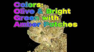 Animal Tree (60/40 IH) Strain Review-Budpedia