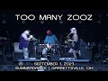 Too Many Zooz: 2023-09-01 - Summerdance @ Nelson Ledges; Garrettsville, OH (Complete Show) [4K]