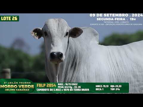 LOTE 26   FBLP 2054