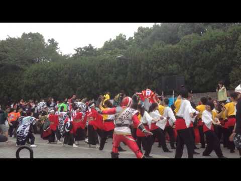 大江戸ソーラン2014総踊り かみどん