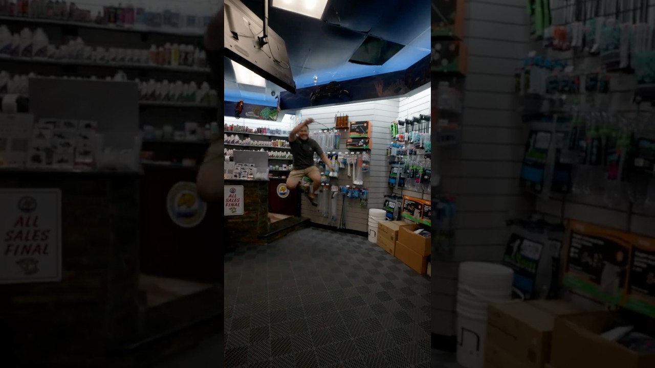 BEST TOOL TO HELP GET RID OF ALGAE ON YOUR TANK | SEACHEM ALGAE 3-IN-1 SCRAPER AT AQUARIUM DEPOT
