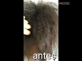 Progressiva em cabelo ti 4 c alisou muito 😱