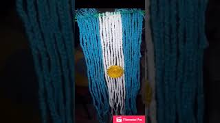 Dia de la Bandera en Escuelas del Neuquén Dia de la Bandera en Escuelas del Neuquén