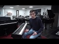 Roland fp10 portable piano demo  jo.eheer