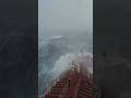 A Brutal Journey Across the North Sea ⚓ #ship #northsea #shorts