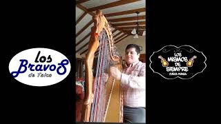 Cueca Esa Niña Paraguaya, Autor Daniel Vèliz Retamal.