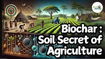 Biochar : The Ancient Soil Secret Revolutionizing Modern Agriculture