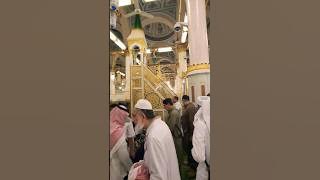 Rawdah Riaz Ul Jannah | Piece of Paradise #rawdah #masjidnabawi #madinah #riazuljannah #hajj2023