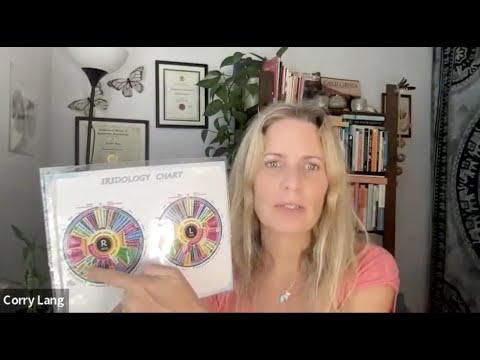 Related Embedded Video Item Thumbnail