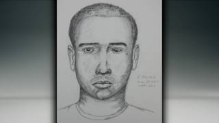 Dallas police searching for serial rapist