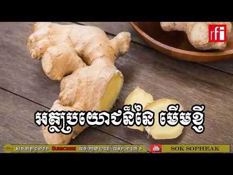 អត្ថប្រយោជន៏នៃ មើមខ្ញី សម្រាប់សុខភាព | Ginger and health | RFI Khmer | អៀង សុខម៉ិញ