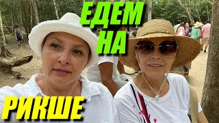 МЕКСИКА. В ДЖУНГЛЯХ. КОБА. ЭКСКУРСИЯ НА РУИНЫ МАЙЯ.